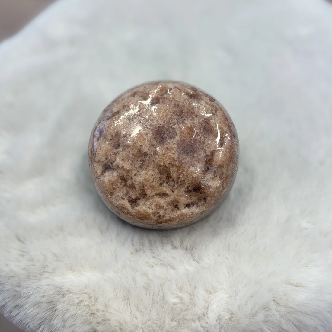 Saippuasieni vartalolle